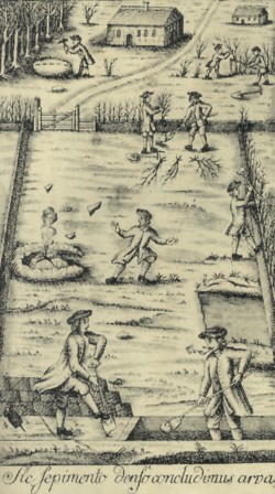 Anweisung zur Anlage von Knicks 1767