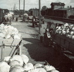 Kohlverladung auf dem Bahnhof Marne in den 1950er Jahren 