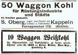 Anzeigen aus der "Dithmarscher Landeszeitung" von 1917
