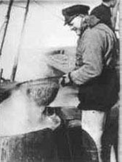 Der Husumer Fischer Kurt Laß beim Keschern der gekochten Krabben. Im Hintergrund ist das Kühlsieb sichtbar