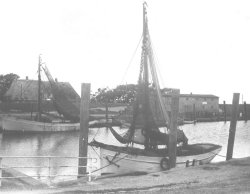 Krabbenkutter im Hafen von Pellworm vor dem Zweiten Weltkrieg