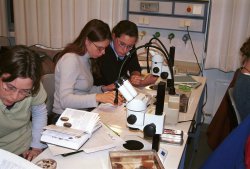 Grundfertigkeiten: Praktikanten lernen im IFM den Umgang mit dem Mikroskop