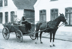 Nostalgie 1957: private Müllabfuhr mit Pferdefuhrwerk in Heide/Holstein