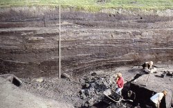  Wie die Wurten Schicht für Schicht erhöht wurden, läßt sich im Schnitt noch heute bei Ausgrabungen klar erkennen 