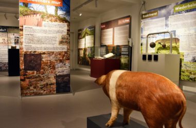  Beitragsbild für Provisorisches Danewerk Museum schließt