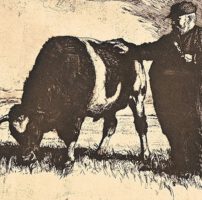  Beitragsbild für Rinderexport nach England 1846 bis 1888