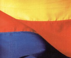  Beitragsbild für Bohmstedter Richtlinien